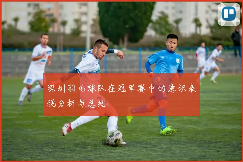 深圳羽毛球队在冠军赛中的意识表现分析与总结