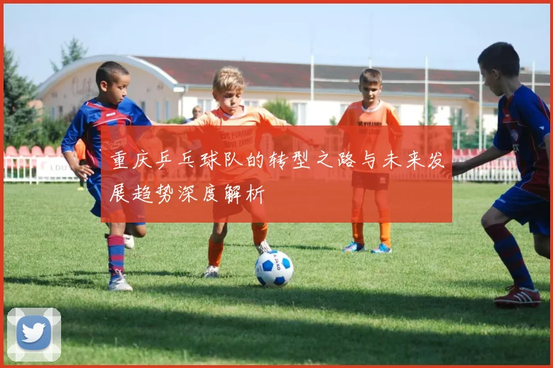 重庆乒乓球队的转型之路与未来发展趋势深度解析