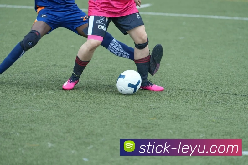 乐鱼体育品牌故事