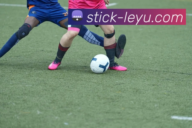 乐鱼体育服务体系